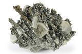 Glittering Marcasite Crystal Stalactites w/ Barite - Linwood Mine #246662-1